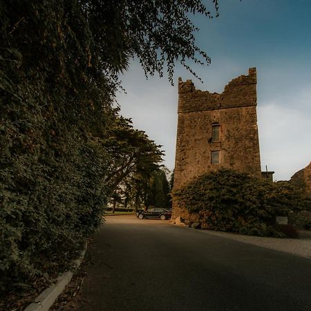 Killiane Castle Country House & Farm Drinagh Extérieur photo