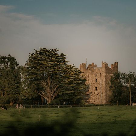 Killiane Castle Country House & Farm Drinagh Extérieur photo