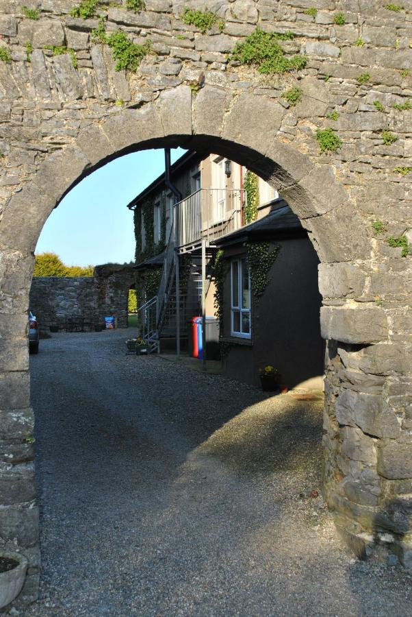 Killiane Castle Country House & Farm Drinagh Extérieur photo