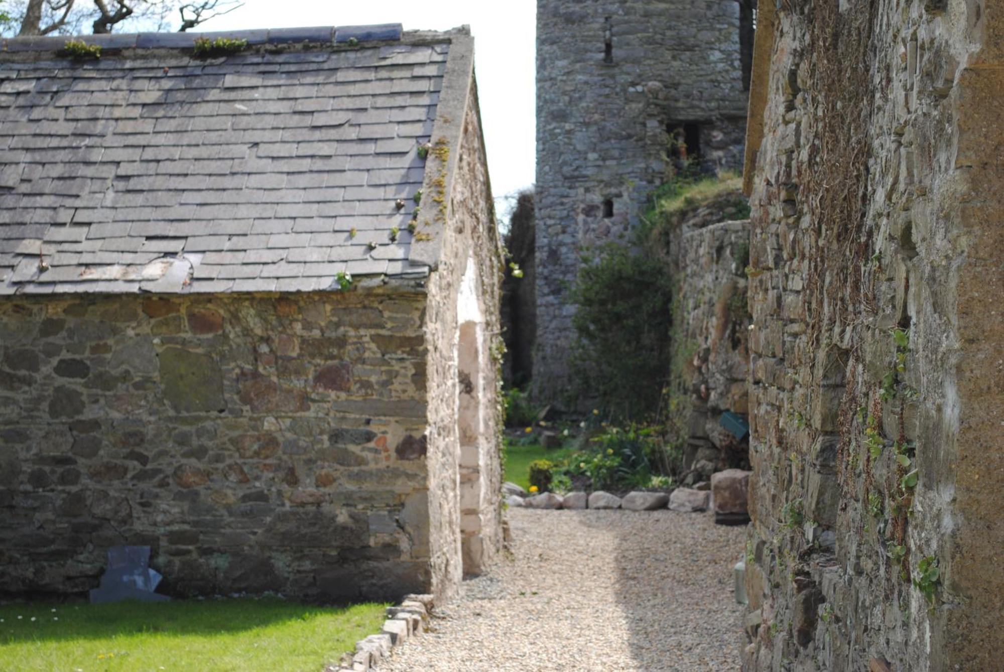 Killiane Castle Country House & Farm Drinagh Extérieur photo