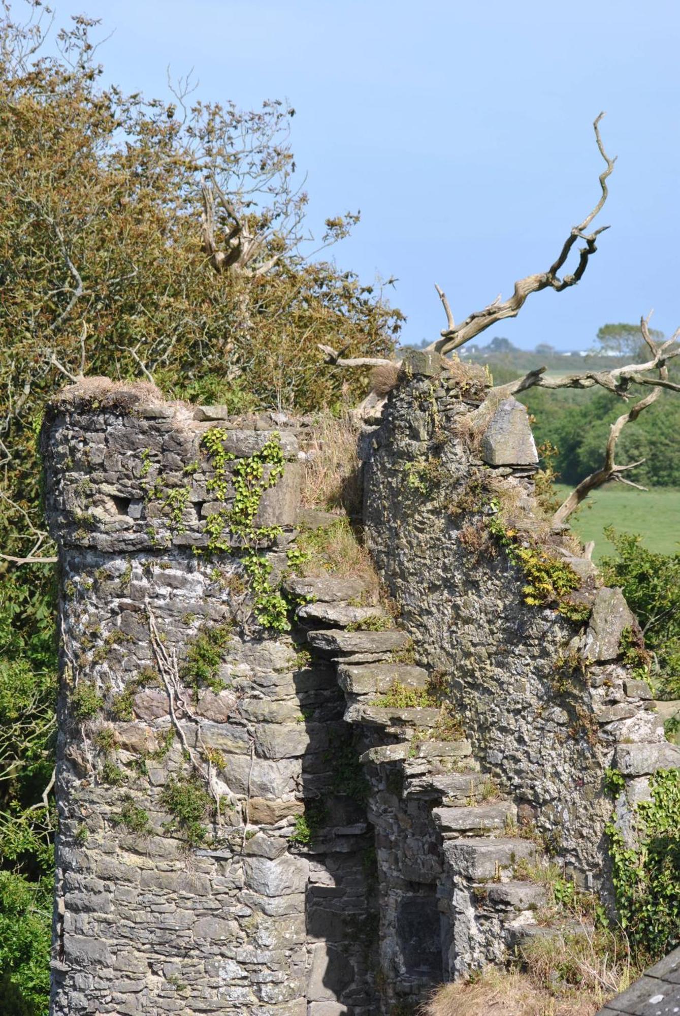 Killiane Castle Country House & Farm Drinagh Extérieur photo