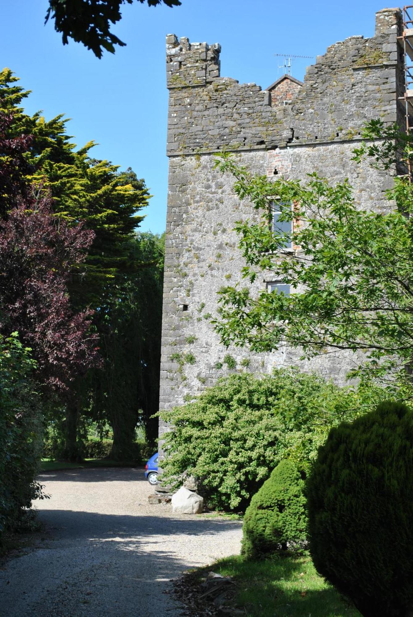 Killiane Castle Country House & Farm Drinagh Extérieur photo