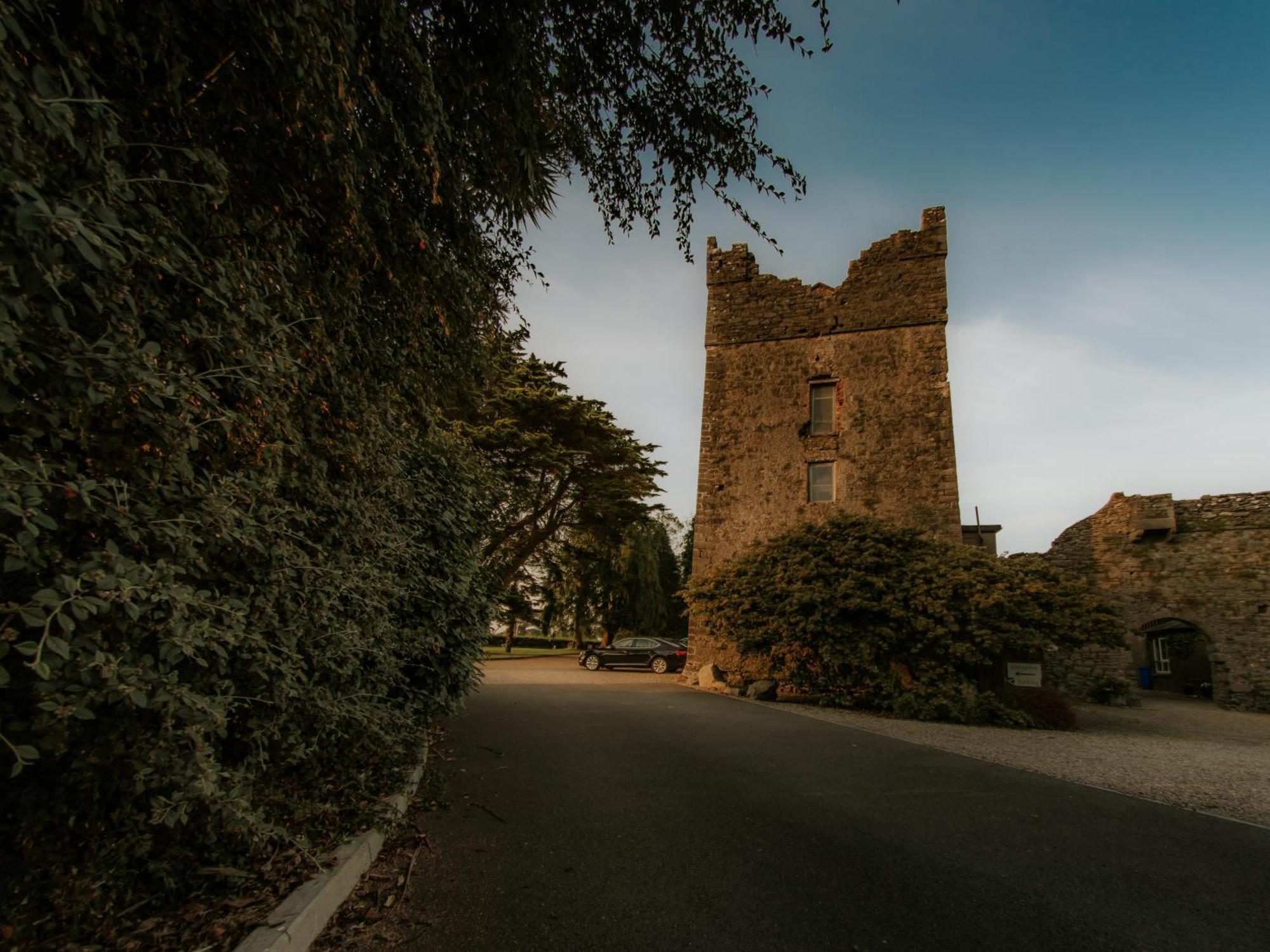 Killiane Castle Country House & Farm Drinagh Extérieur photo