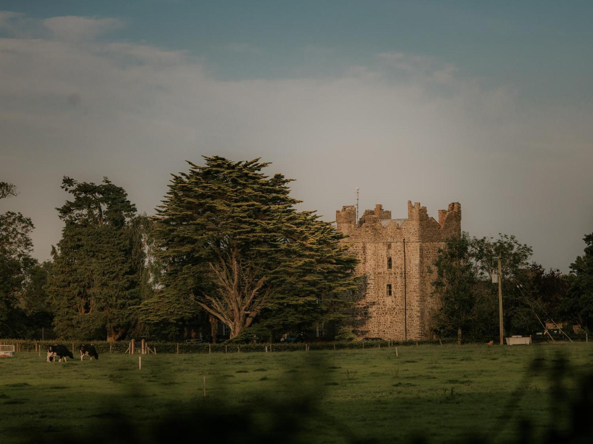 Killiane Castle Country House & Farm Drinagh Extérieur photo