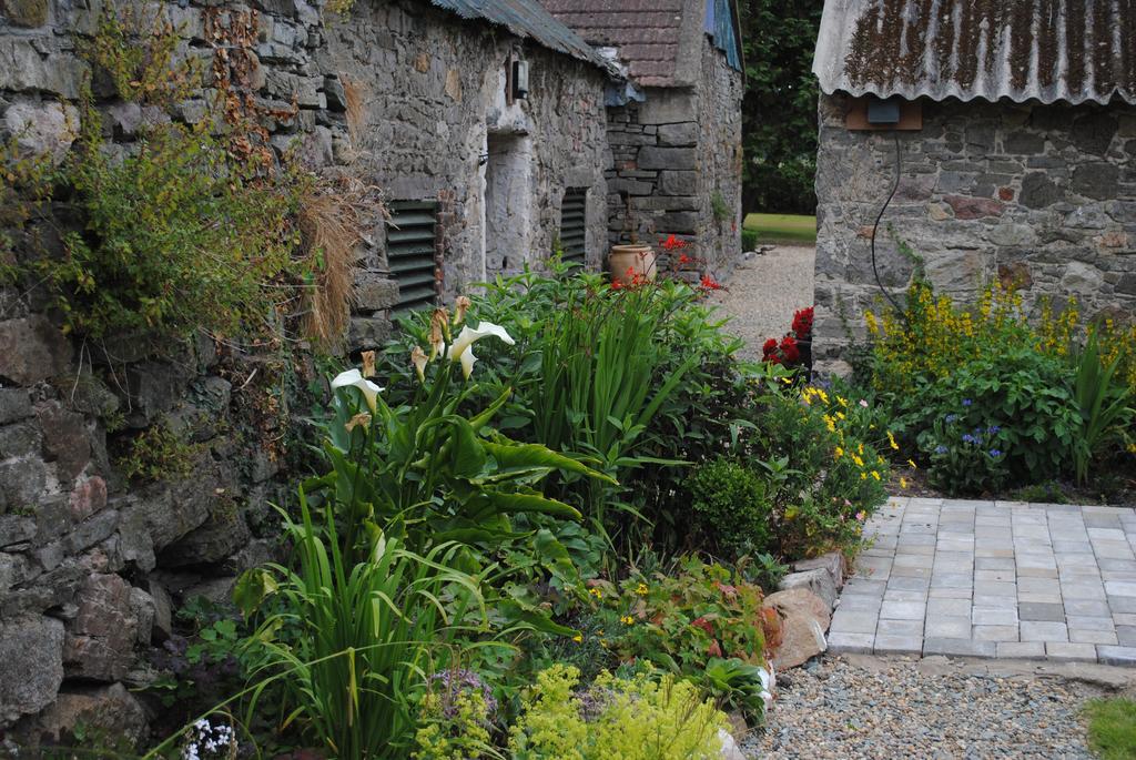 Killiane Castle Country House & Farm Drinagh Extérieur photo